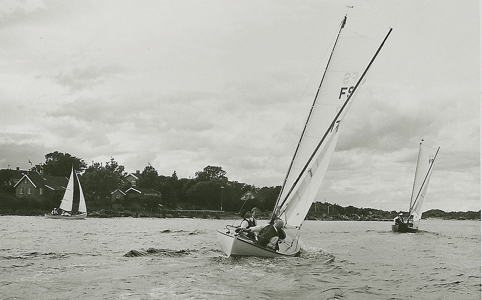 imm002.jpg