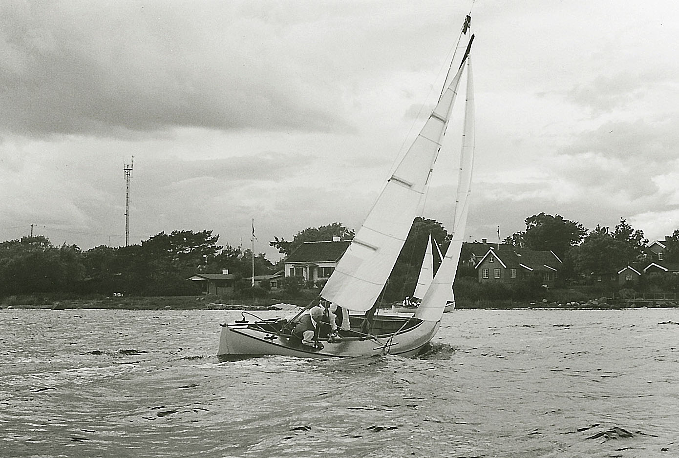 imm004.jpg