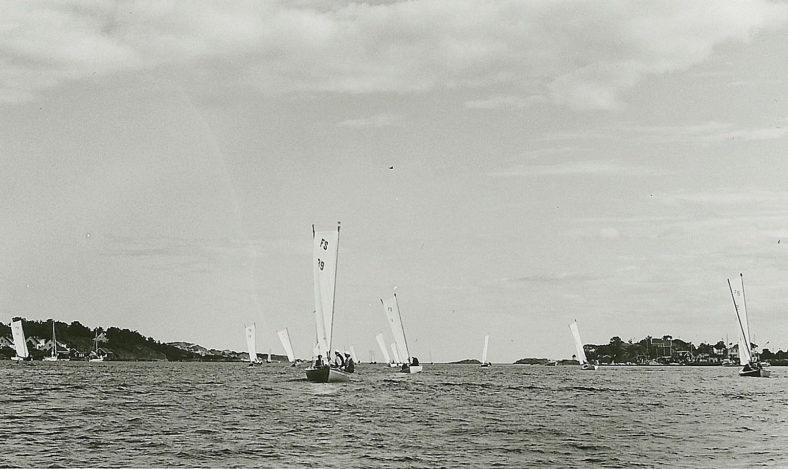 imm006.jpg