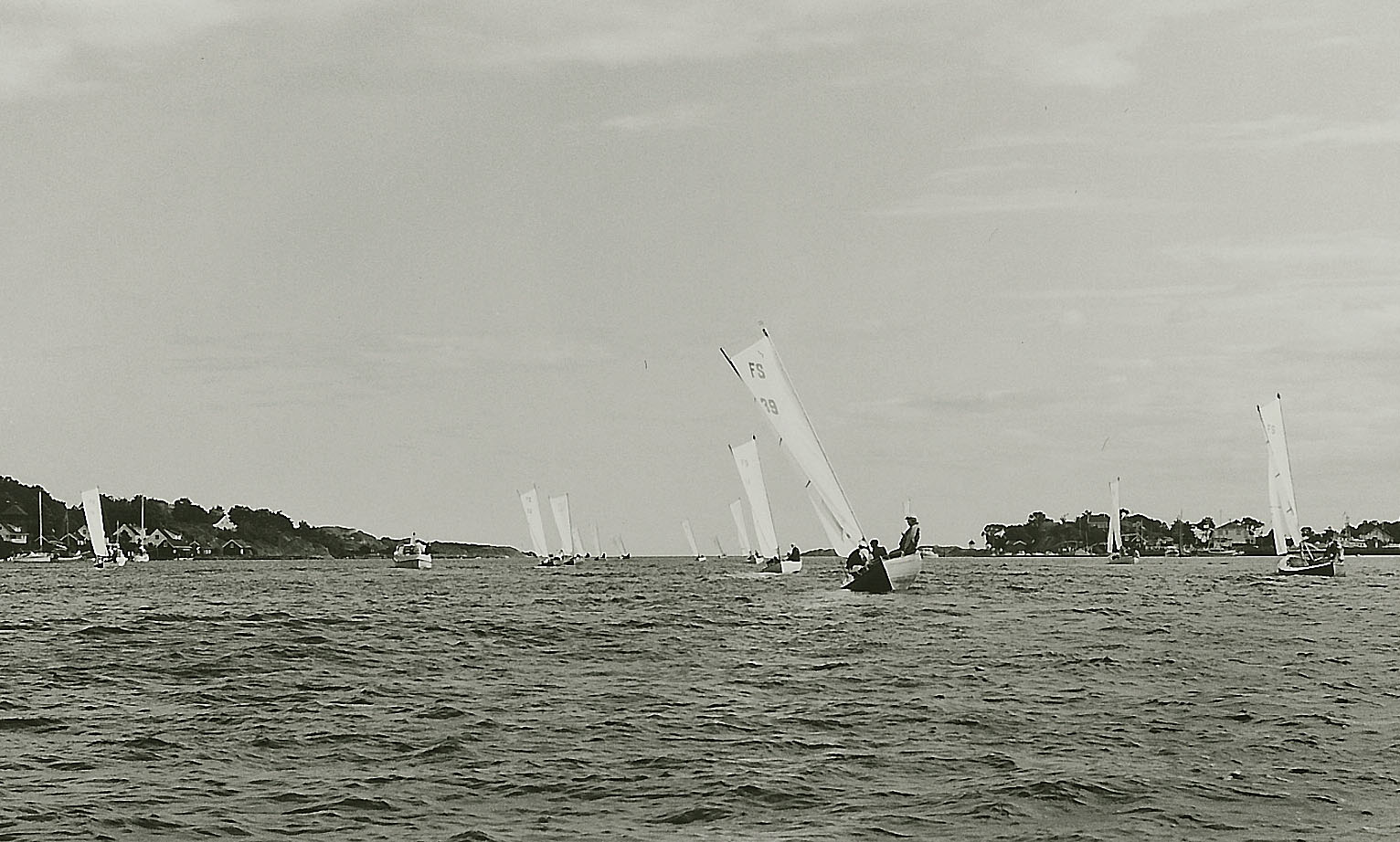 imm007.jpg
