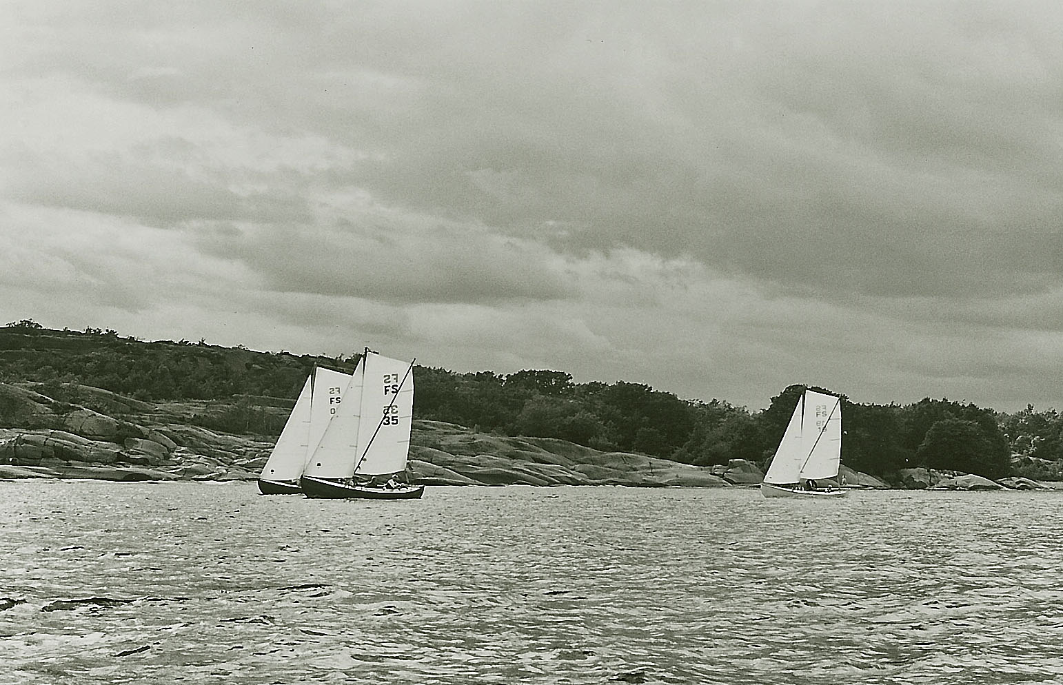 imm008.jpg
