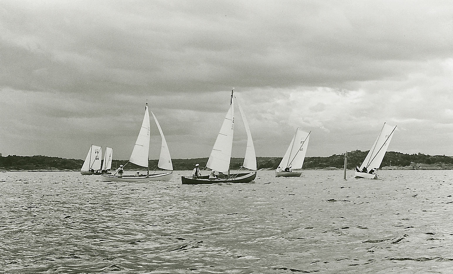 imm009.jpg