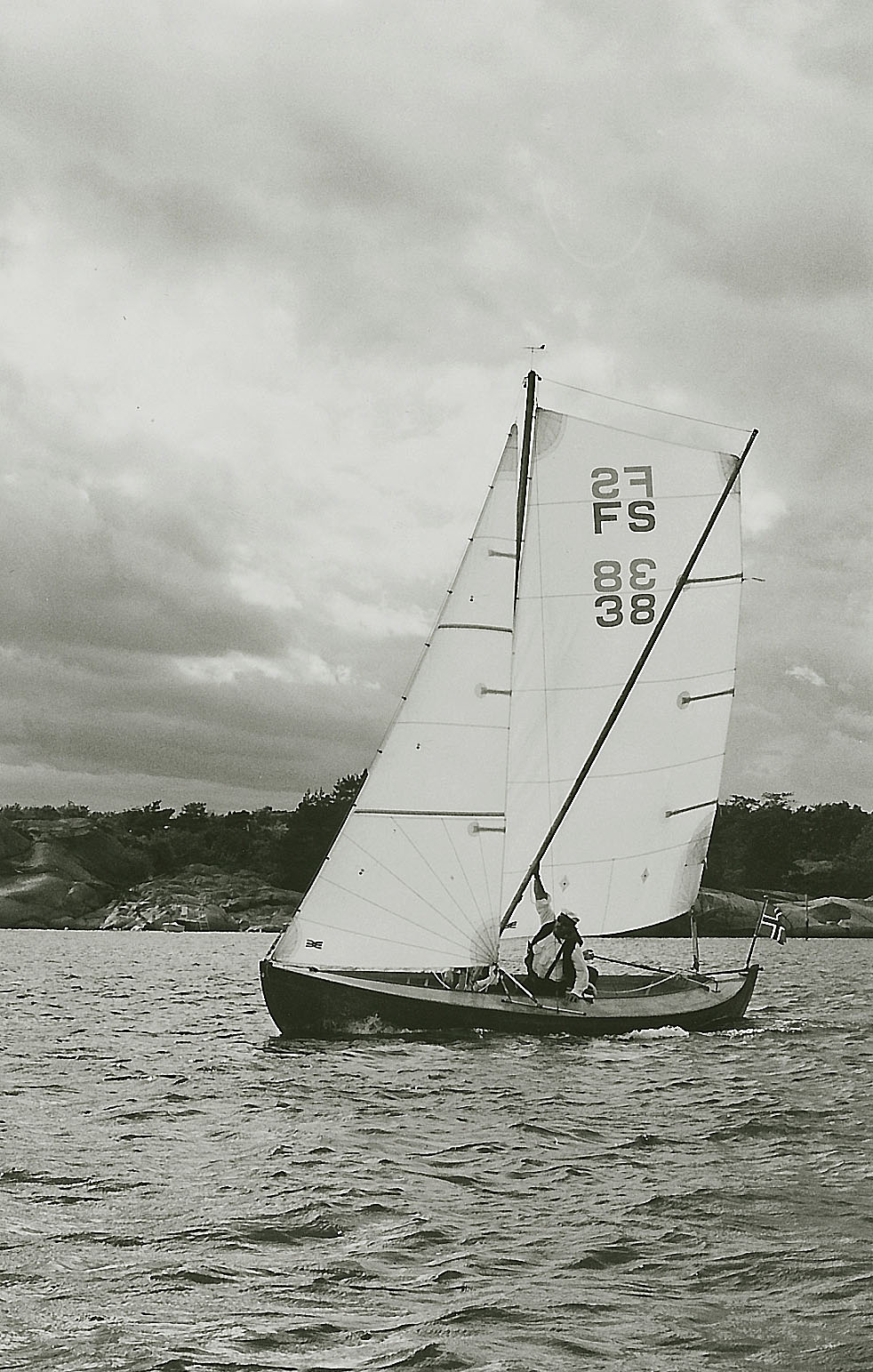 imm013.jpg