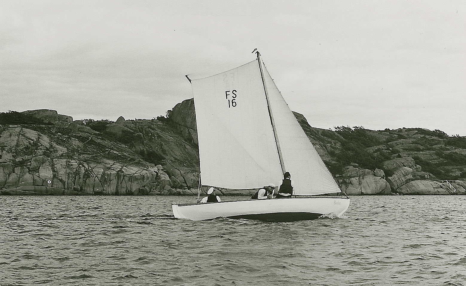 imm014.jpg