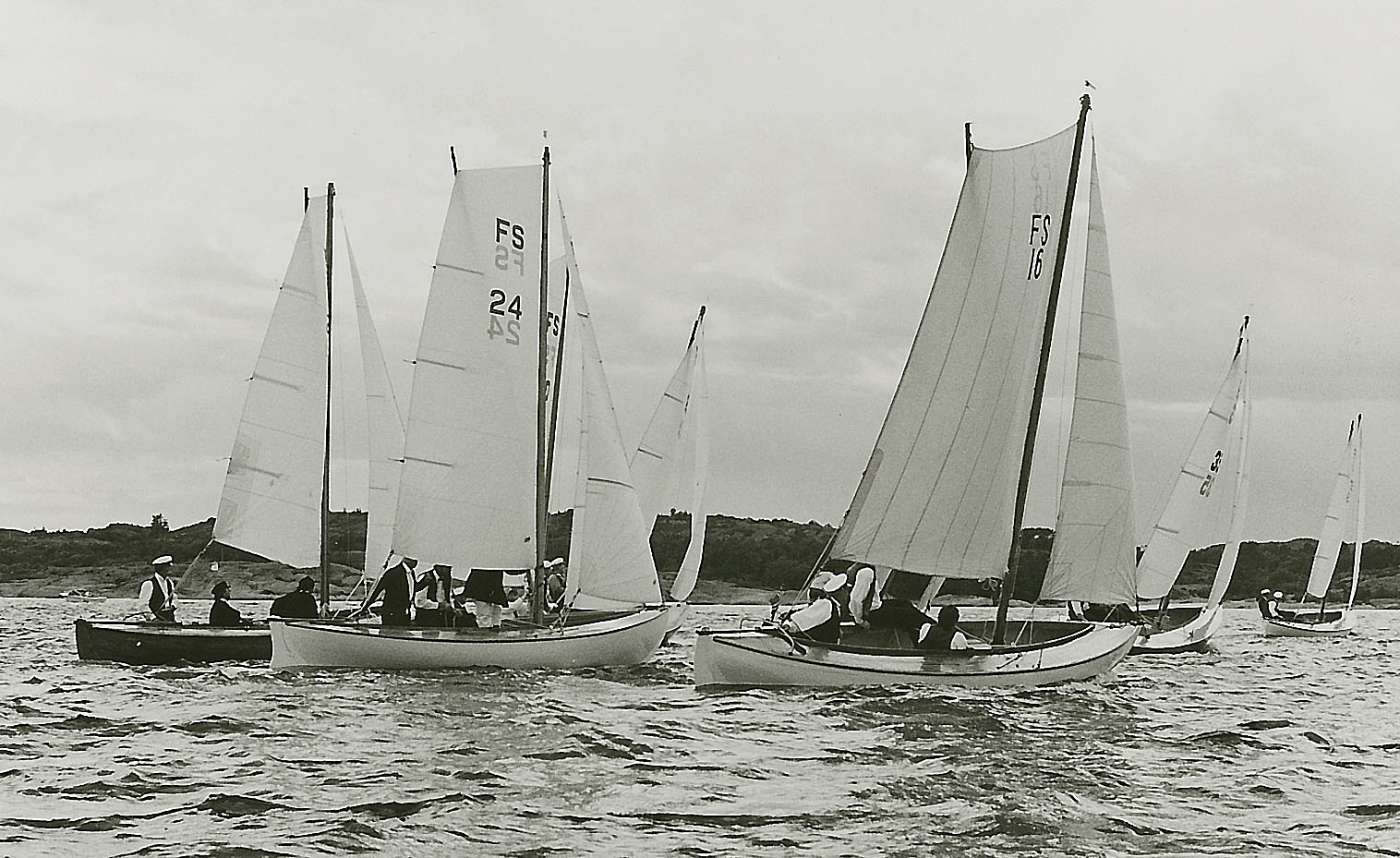 imm027.jpg