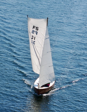 fs31 2 resize